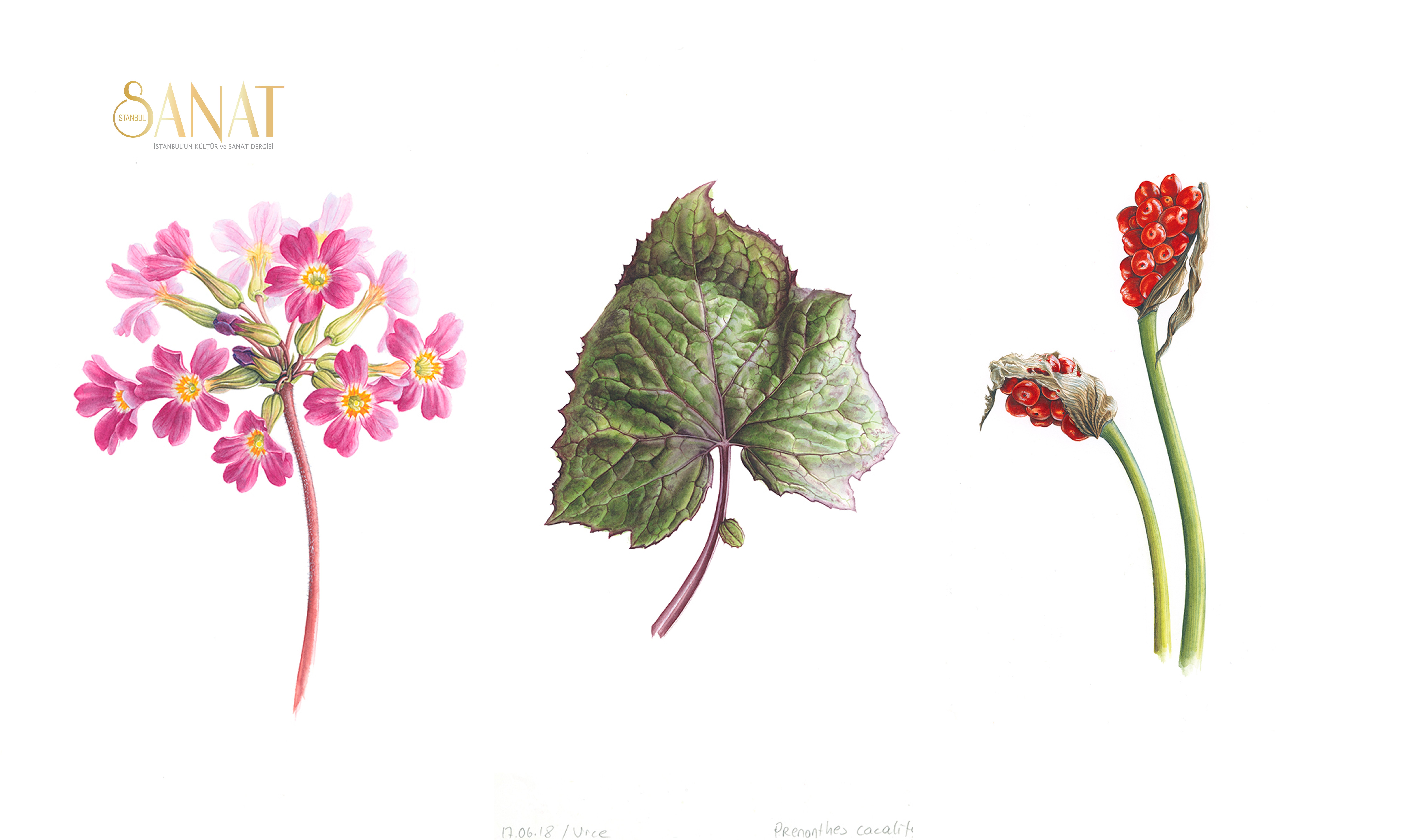 Evin Sanat Galerisi 8 Aralık 2020 – 9 Ocak 2021