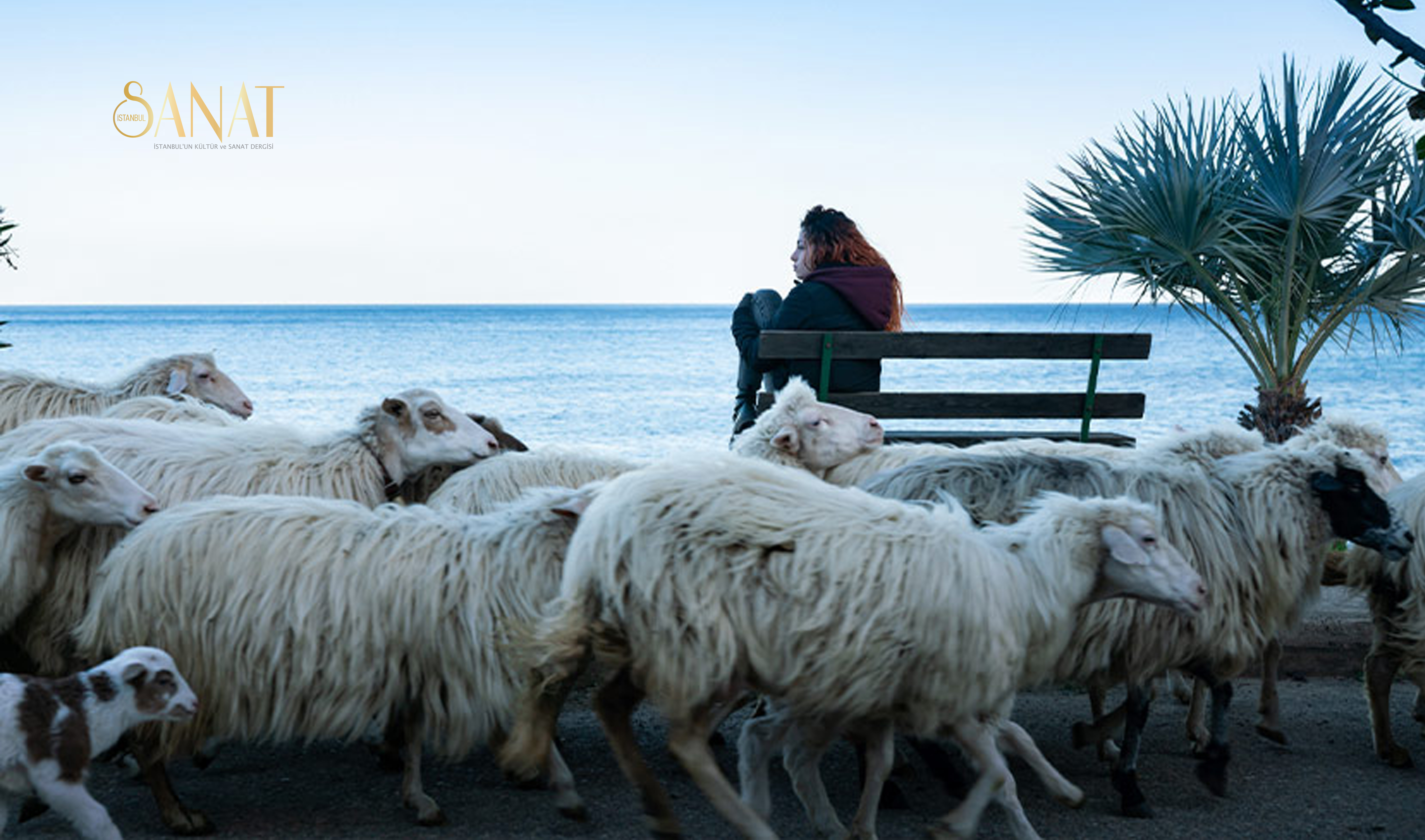 İstanbul Film Festivali, yılın son seçkisi ve Sinemada İnsan Hakları
