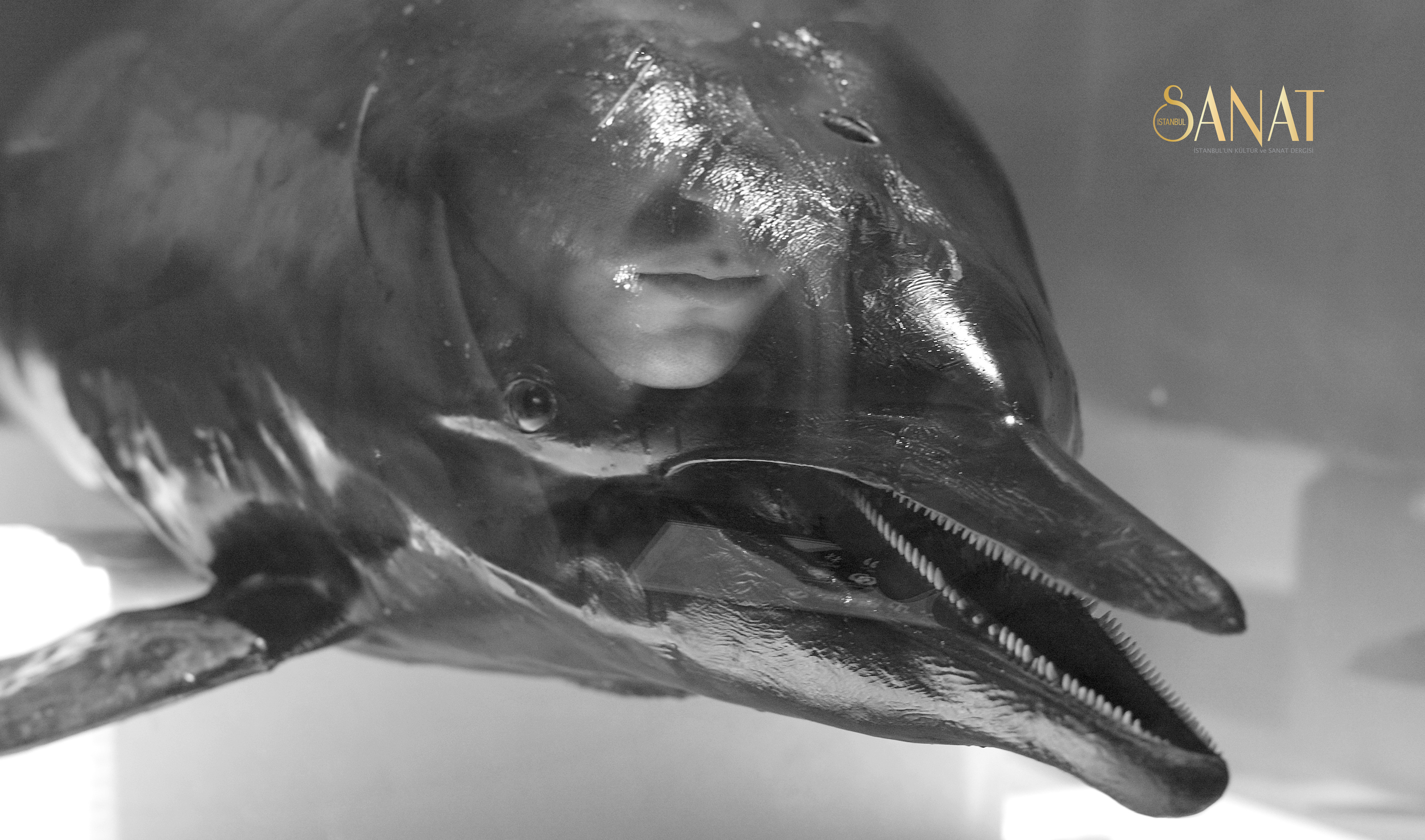 Arter yeni sergilere ev sahipliği yapmaya devam ediyor. Mart 2021’den