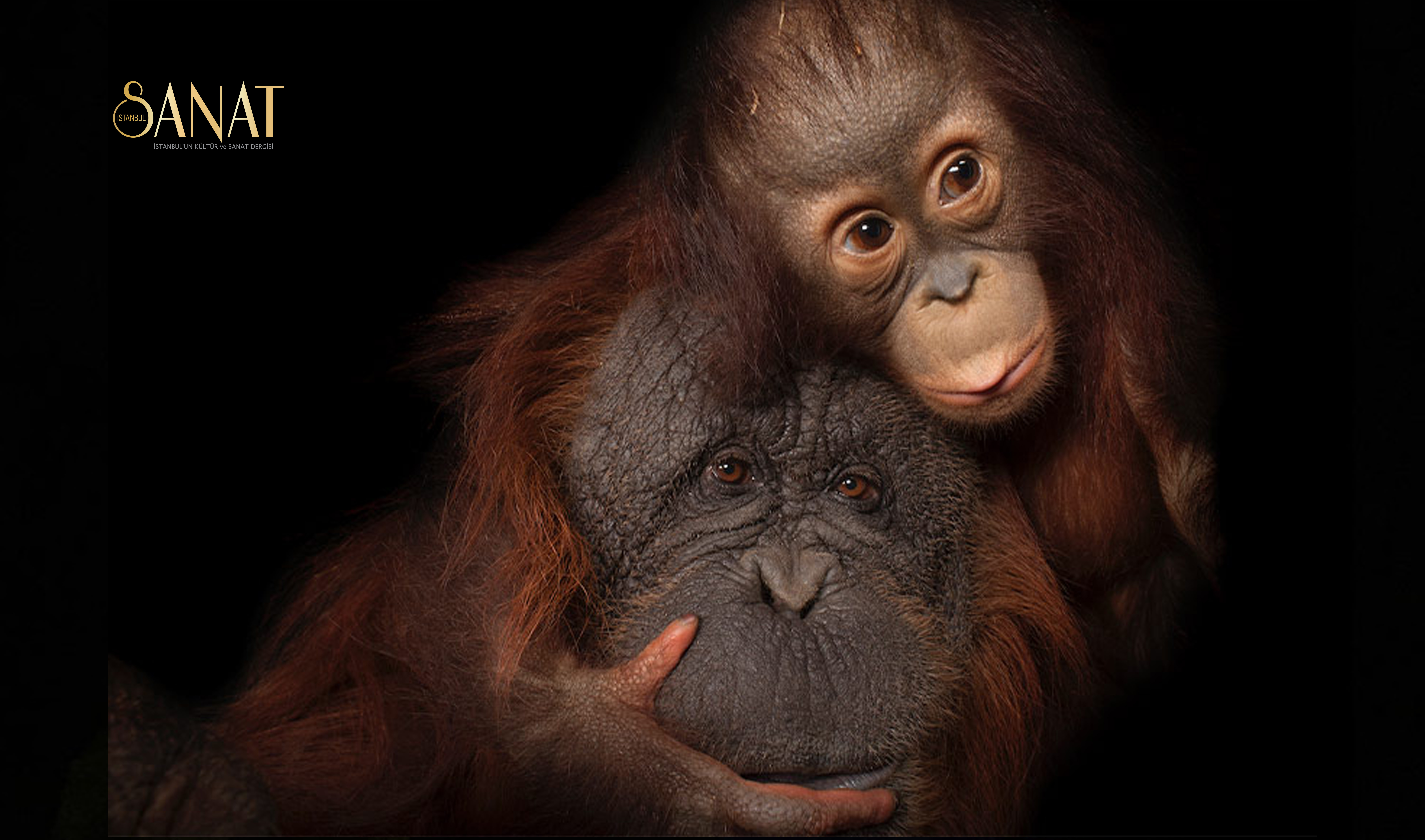 National Geographic’in, en popüler ve en çok ziyaret edilen sergisi