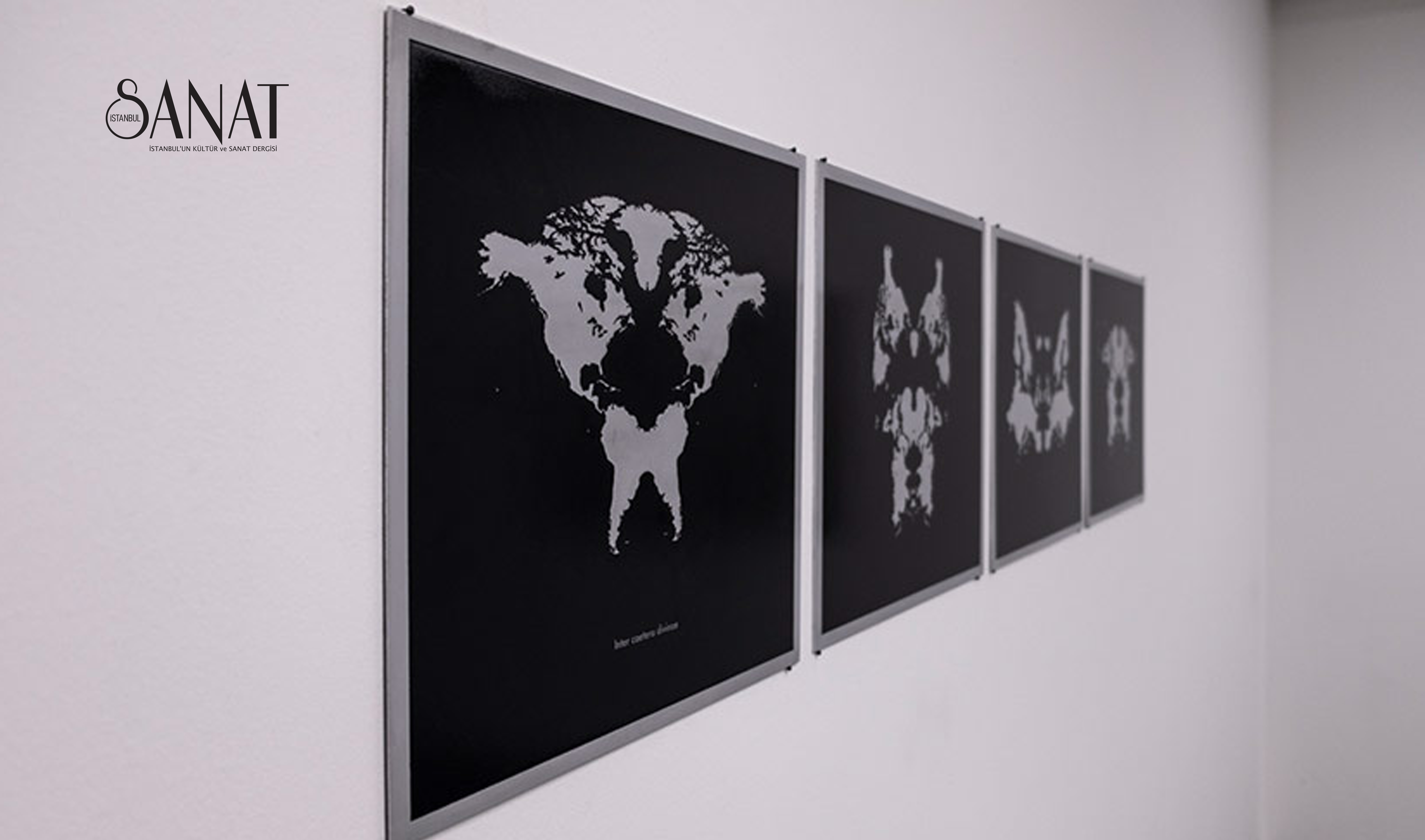 Sanatorium,&nbsp;sanatçılarının&nbsp;geçmiş&nbsp;sergilerindeki işlerinin yanında daha önce sergilenmemiş işlerinin de yer aldığı