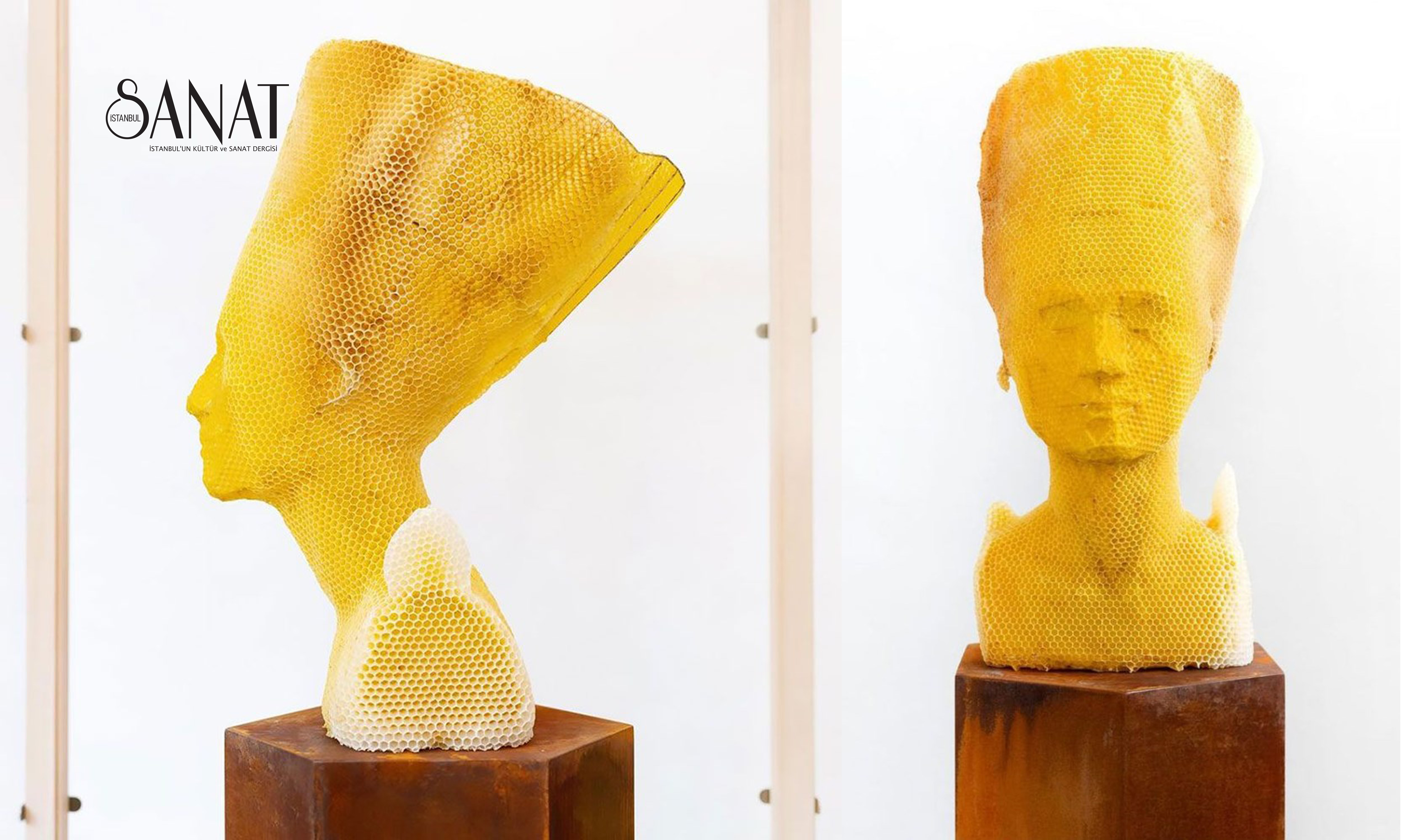 Slovak sanatçı Tomáš Libertíny, 60 bin bal arısından yararlanarak iki