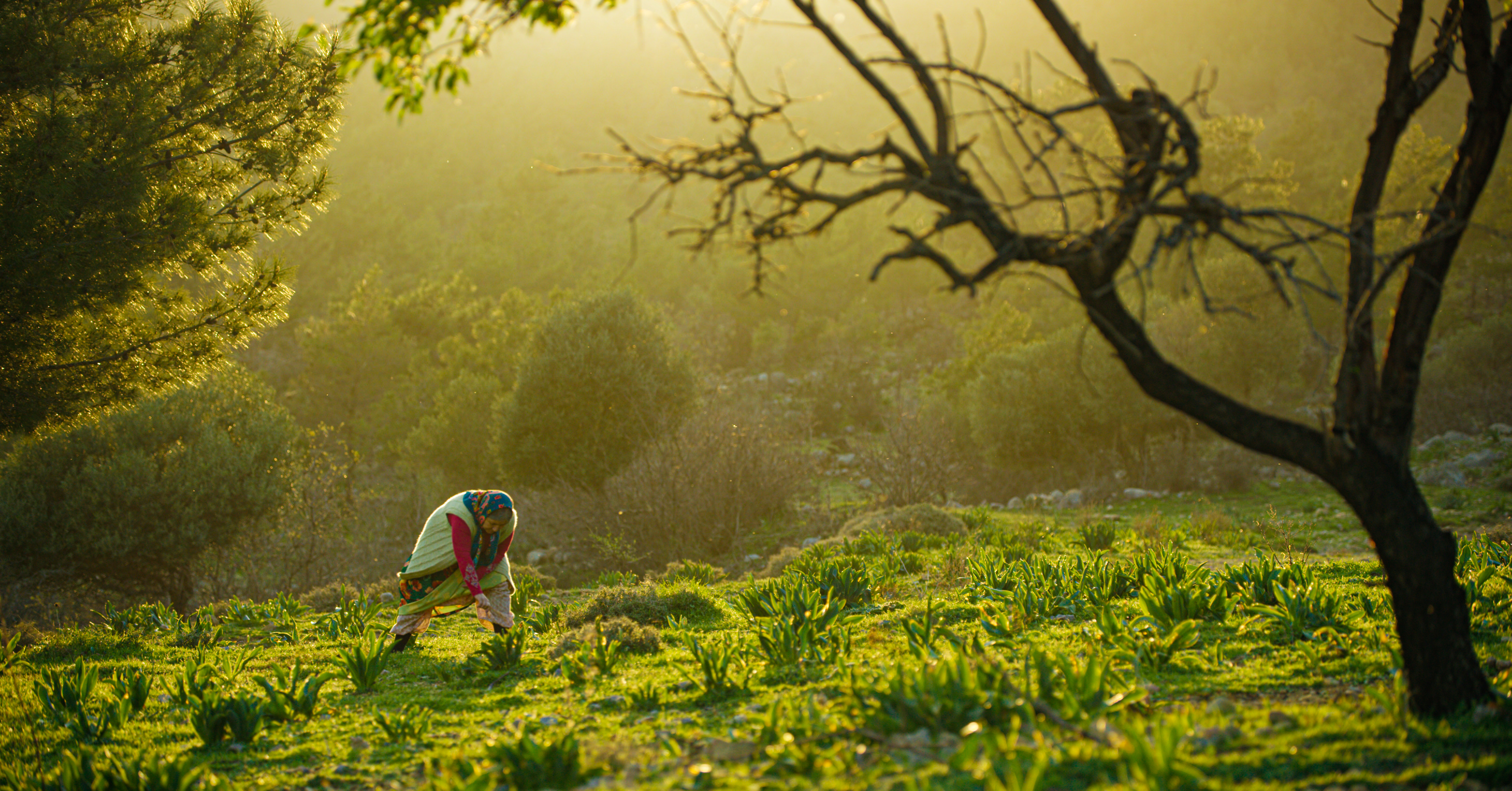 Kültür ve Turizm Bakanlığı destekli, yönetmenliğini İffet Eren Danışman Boz’un,