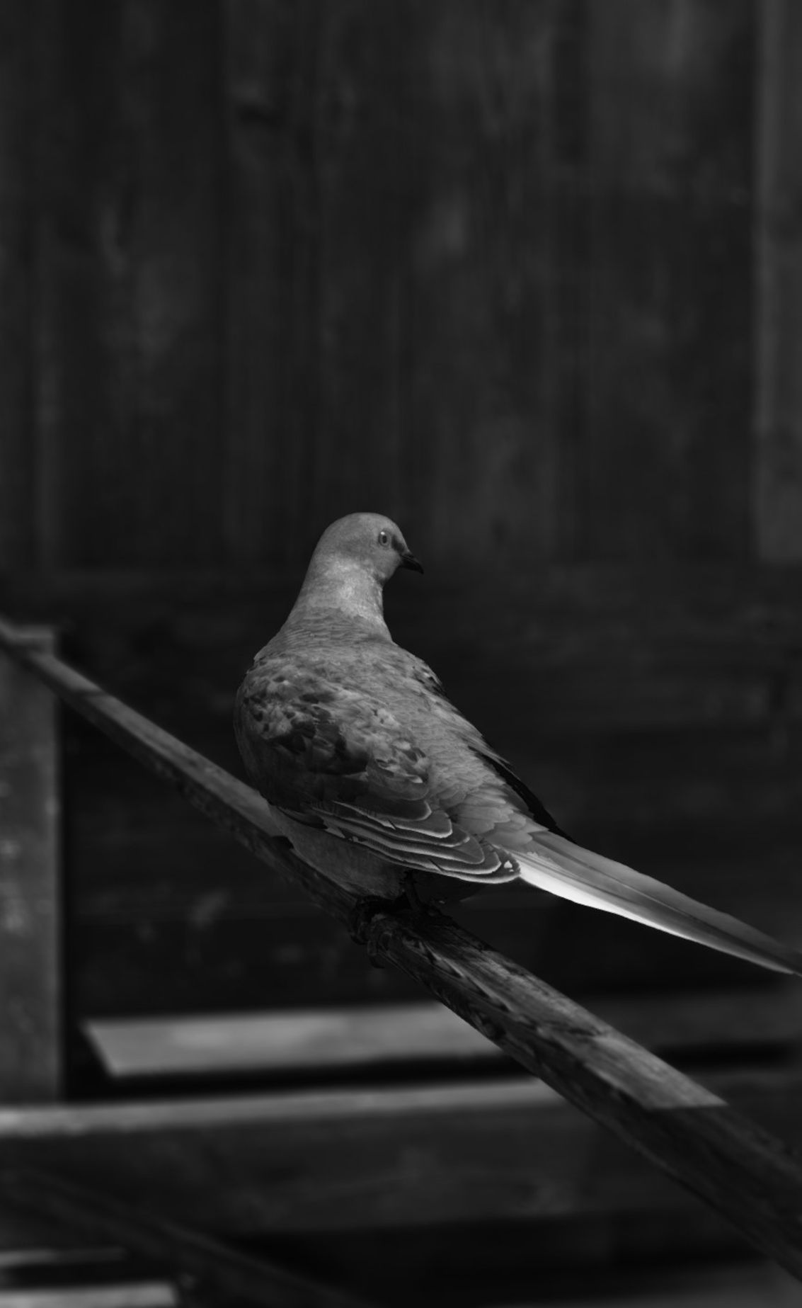 Geçmişi 90’lı yıllara dayanan; fotoğraf başta olmak üzere, video, yerleştirme,