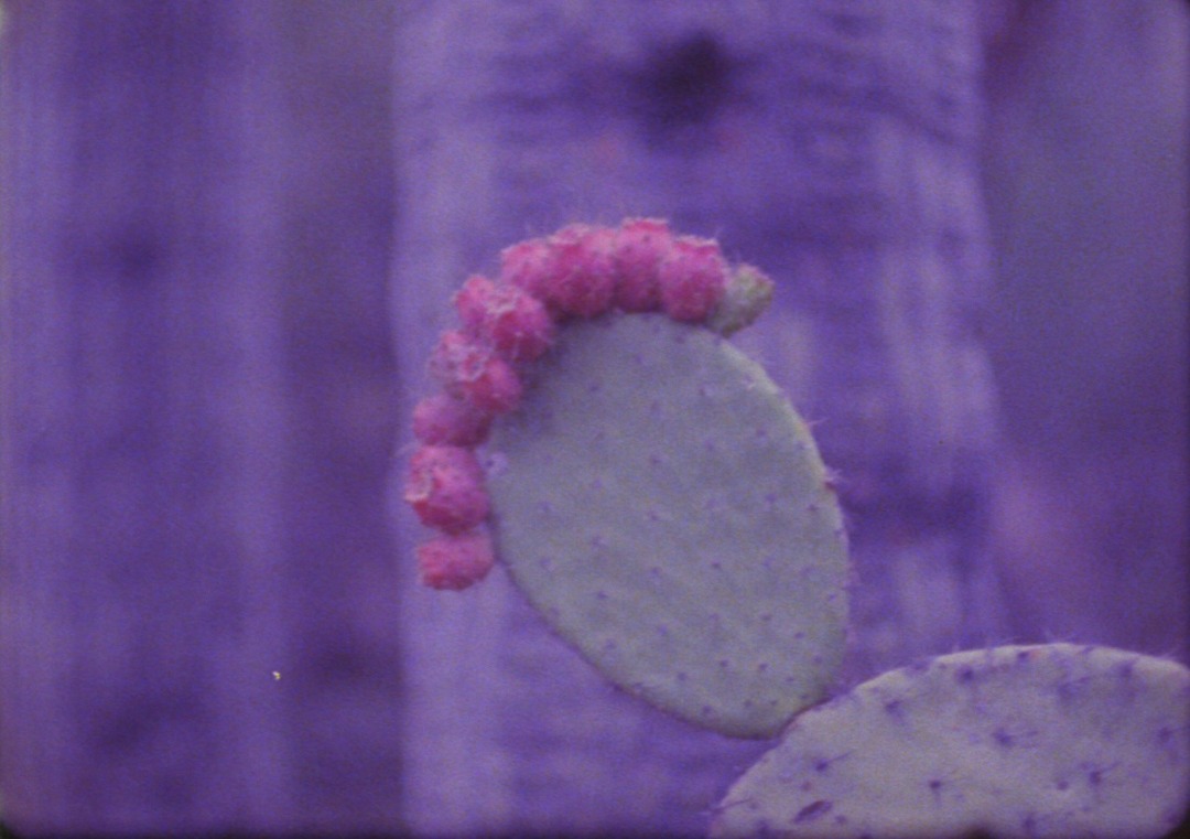 Beykoz Kundura’da yer alan&nbsp;Kundura Sinema,&nbsp;23 Ekim – 7 Kasım 2021&nbsp;tarihleri