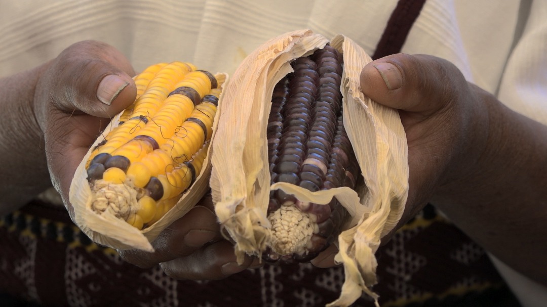 Her sene olduğu gibi değişimin öncülerine ışık tutan belgeseller izleyicilerle