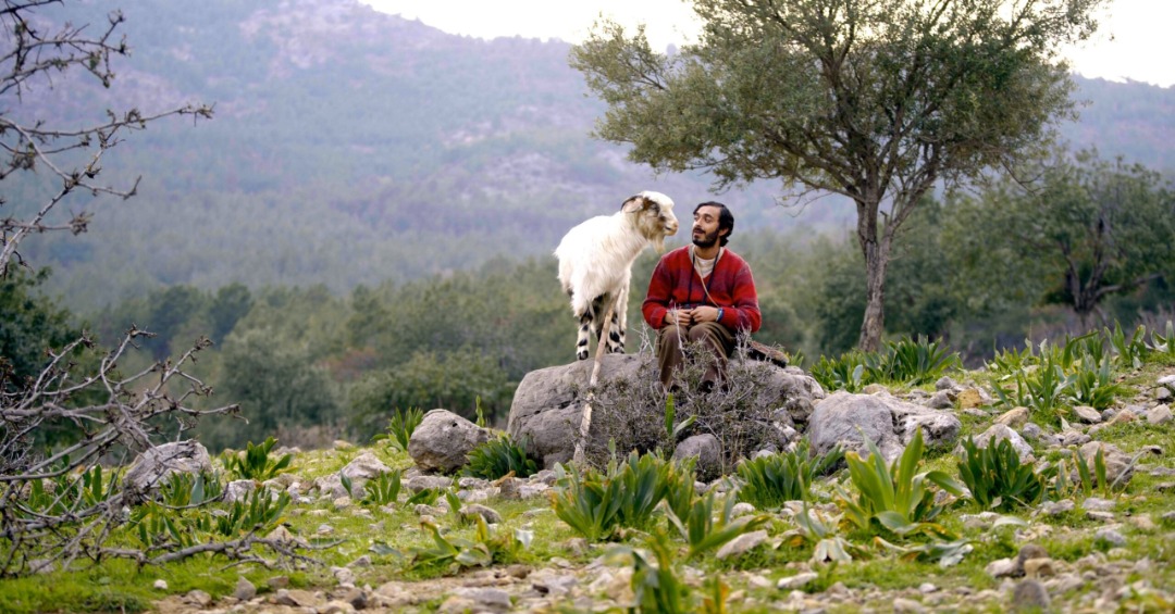 İffet Eren Danışman Boz’un yazıp yönettiği, Eyüp Boz’un yapımcılığını üstlendiği