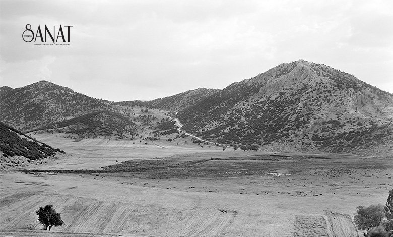 2012 yılından bu yana 22 farklı sergiye imza atan Koç