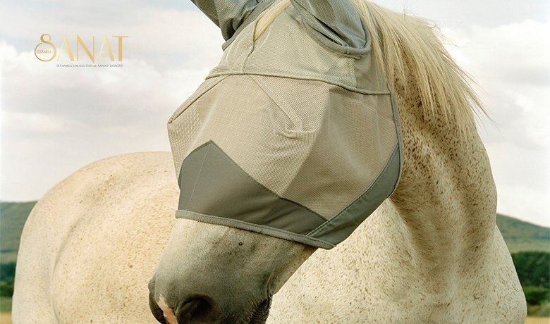 5. yıl programını 6 Ekim – 16 Ekim tarihlerinde gerçekleştirecek