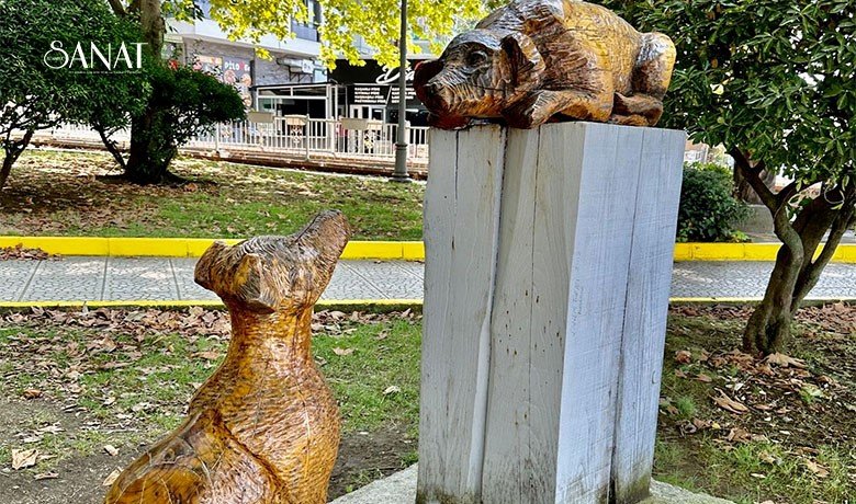 Haber: Yeliz Sancaktaroğlu 1993 yılından beri sürdürülen Uluslararası Değirmendere Zühtü