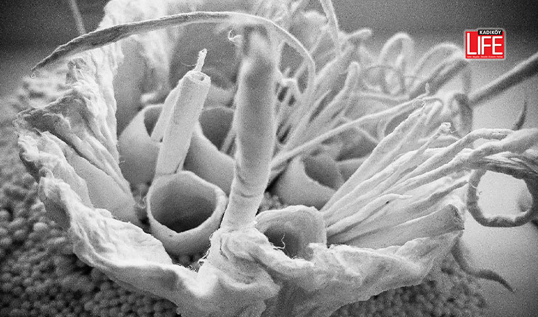 Galeri ARK  Fulya Alışır’ın “ARAYIŞ” adını verdiği ilk solo sergisine ev