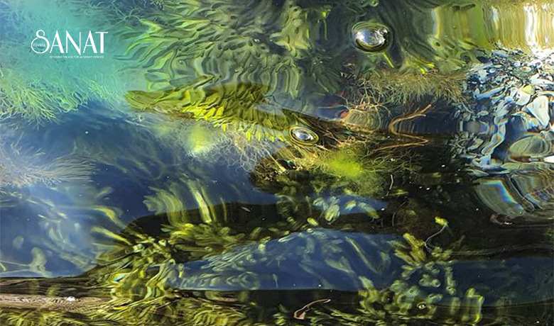 DGSA’lı sanatçılarımızdan Ayşen Erte önemli bir fotoğraf sergisi ile sanatseverlerin