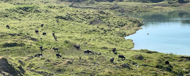 İlki, 17. İstanbul Bienali kapsamında yapılan, CLIMAVORE x Jameel at