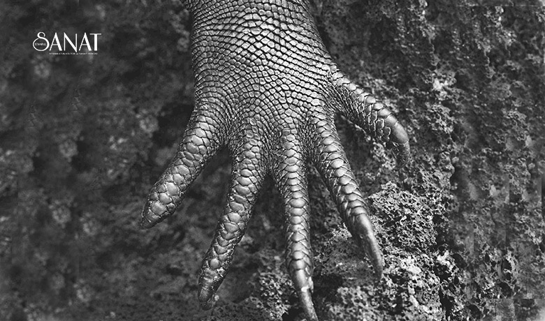 28 Eylül-13 Ekim 2024 tarihlerinde yedincisi gerçekleşecek 212 Photography Istanbul,