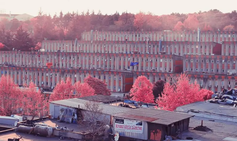 Kariyerleri boyunca sanatı sanat mekanlarının dışına çıkarmaya, demokratikleştirmeye ve şehre