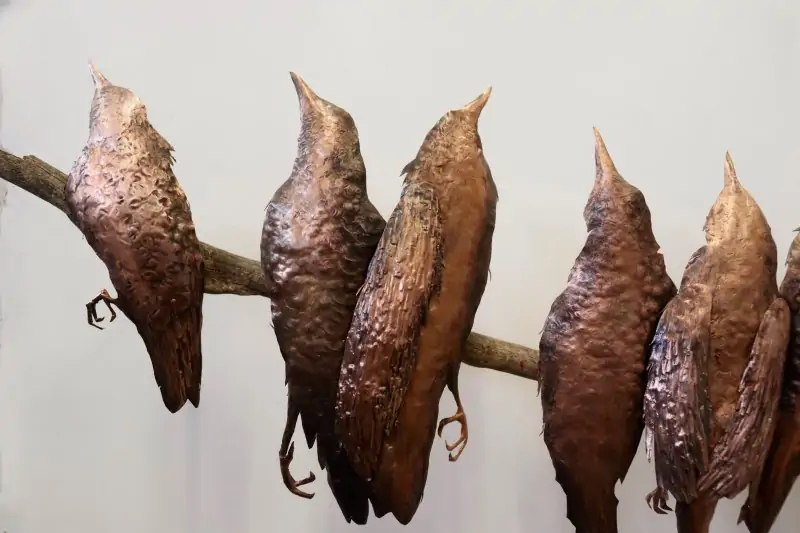 Bir Adım Var Vakfı BASE