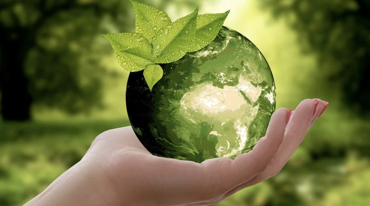 Sıfır Atık Vakfı ile Birleşmiş Milletler Türkiye iş birliğinde düzenlenen