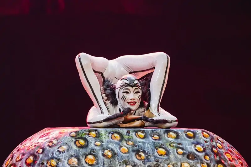 Dünyanın en büyük sirk topluluklarından biri olan Cirque du Soleil,